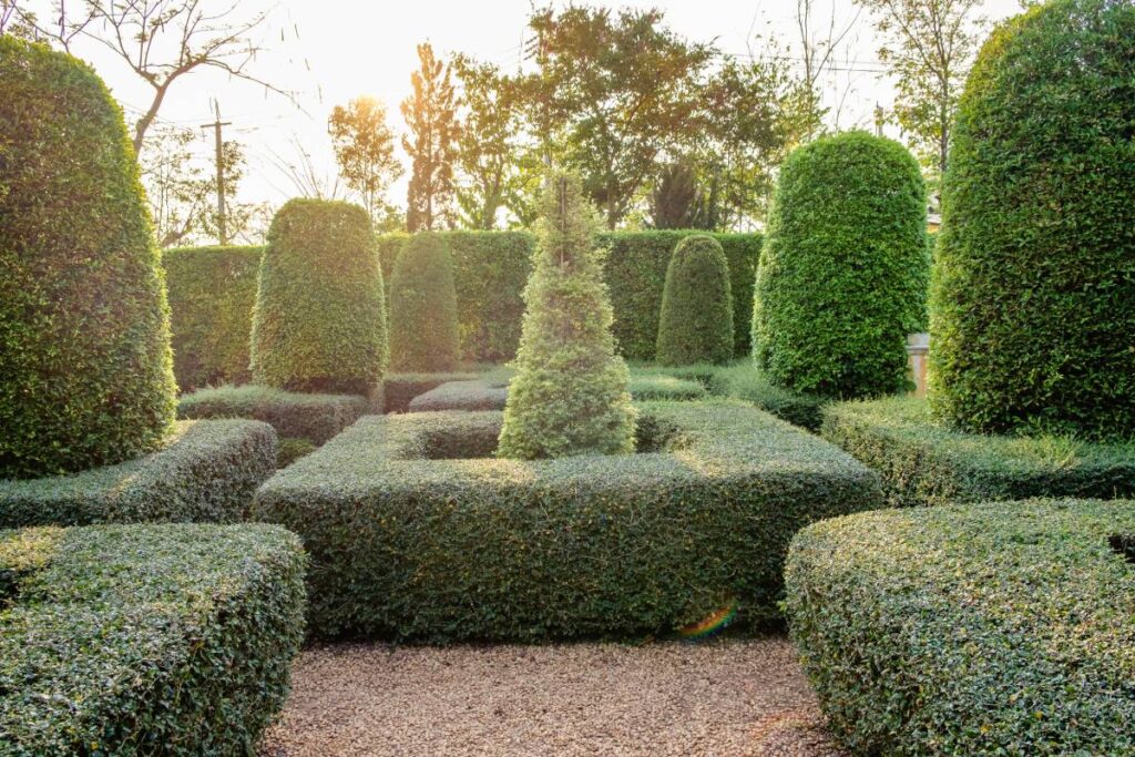 Green garden backyard decor on shining evening