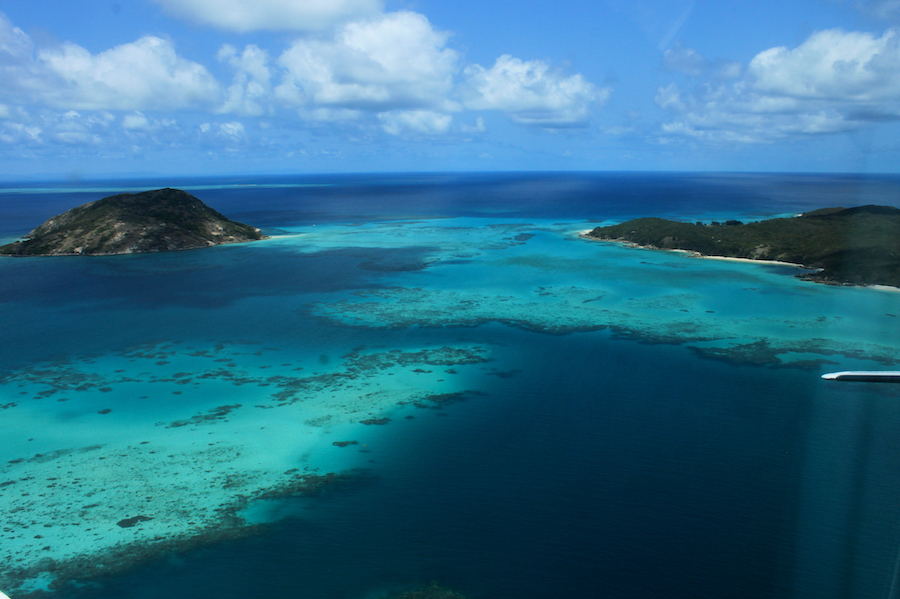 the Great Barrier Reef near Port Douglas